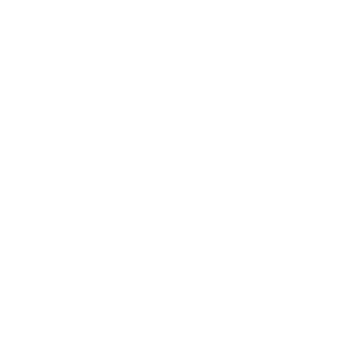 Nexus Merak - logo